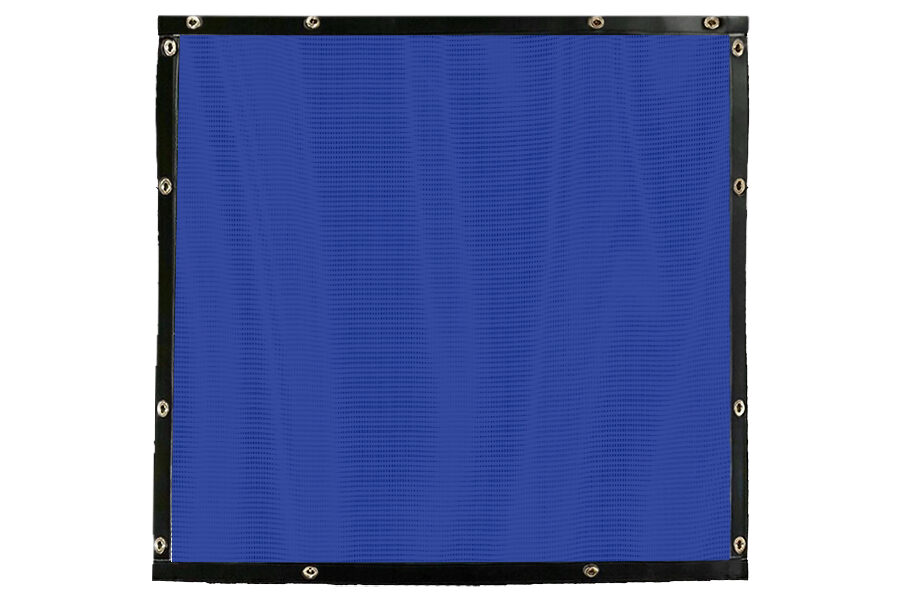 Blue Screen Black trim Bug Screen